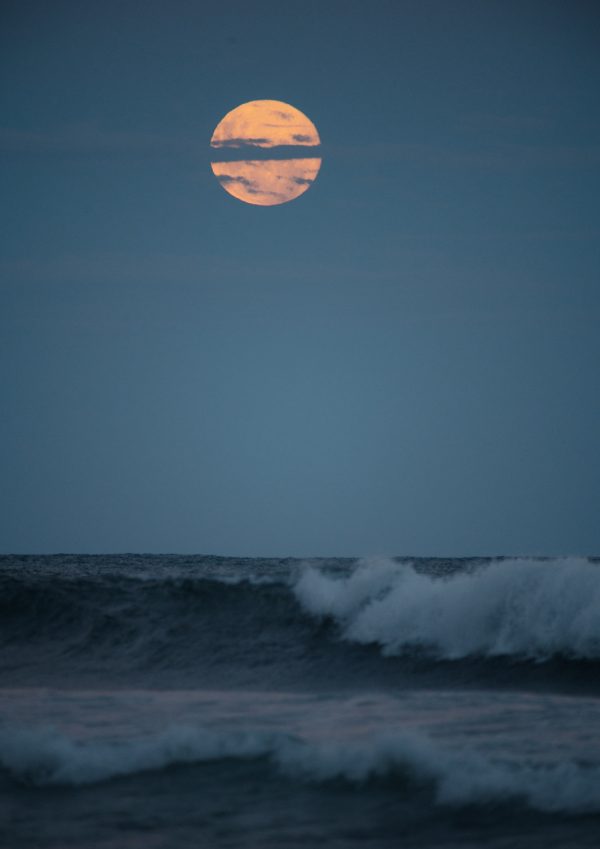 Moonrise