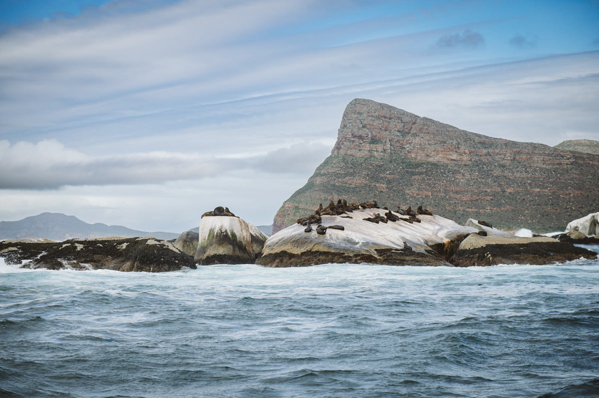 A colony of seals on a rock in Cape of Good Hope as part of Casey Pratt Photographers Travel Photography portfolio